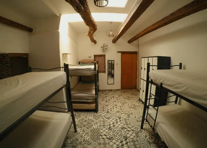 Rey Lagarto HostelPousada